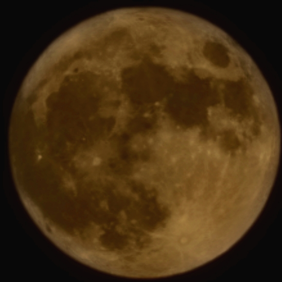 Meet your Posher, Devin - Picture 1 of 1